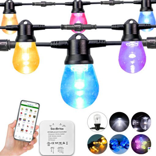 Bulb String Lights GLMD181-RGBW - Image 2
