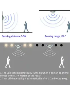 Alternative view of Human Body Radar